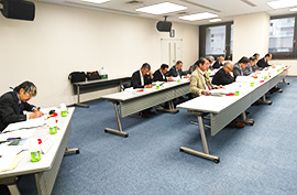 ����29�N�x�������s�s���@���C��̗l�q1