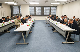 ����29�N�x�������s�s���@���C��̗l�q2